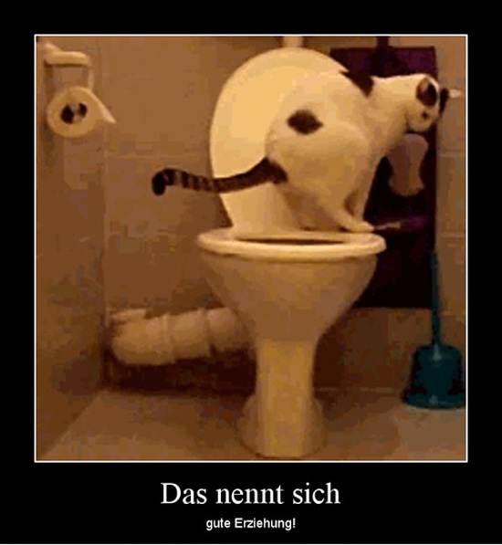 best of demotivators