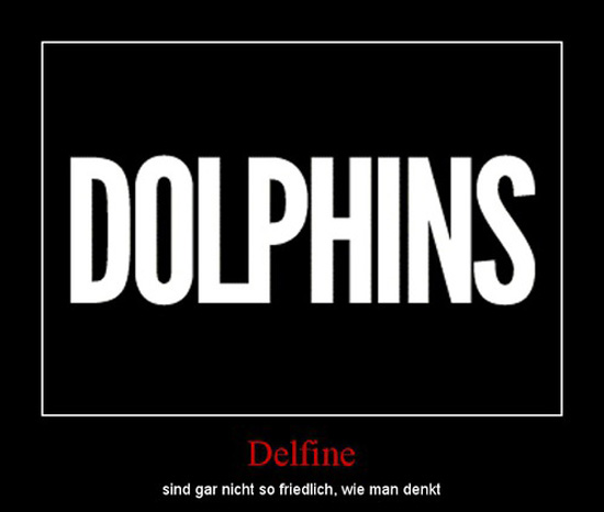 best of demotivators
