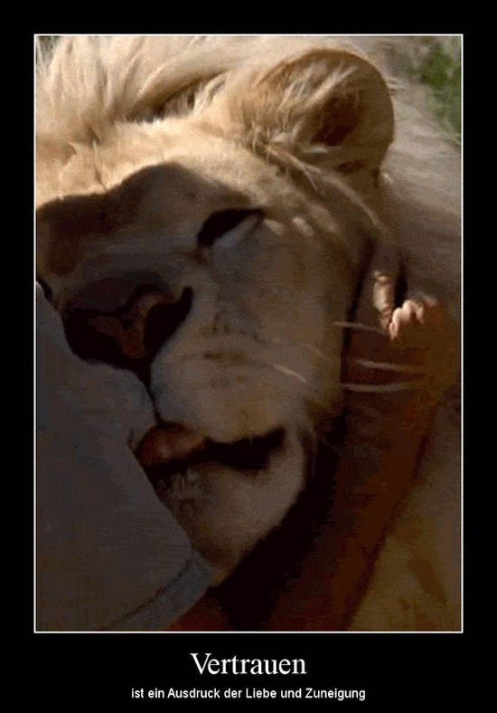best of demotivators