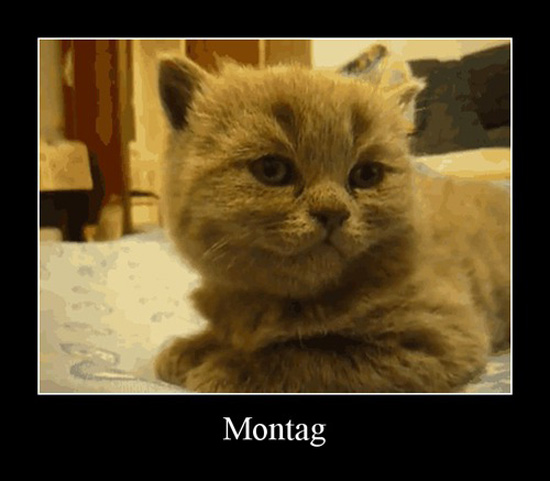 best of demotivators