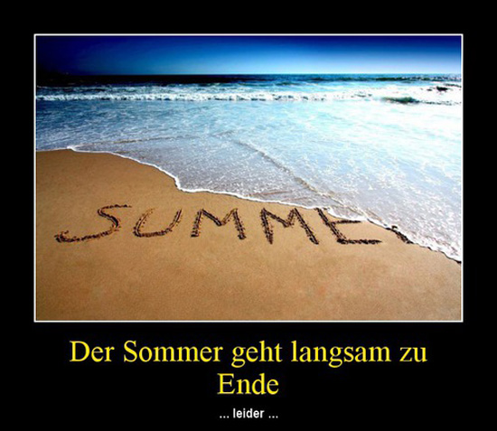 best of demotivators
