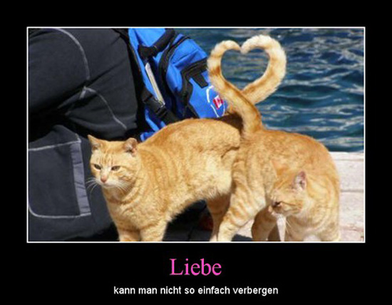 best of demotivators