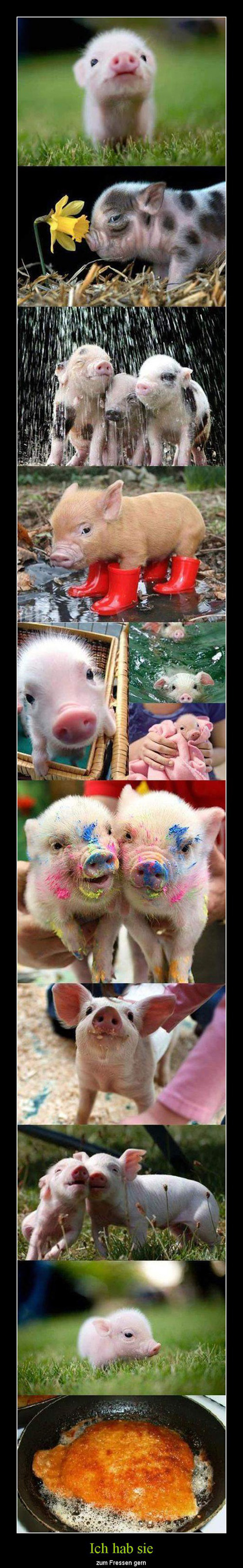 best of demotivators
