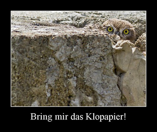 best of demotivators