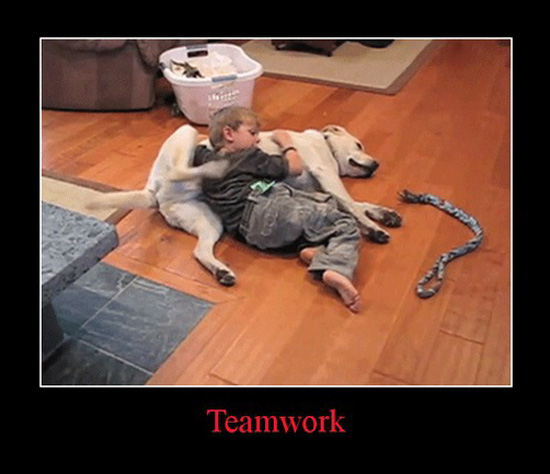 best of demotivators