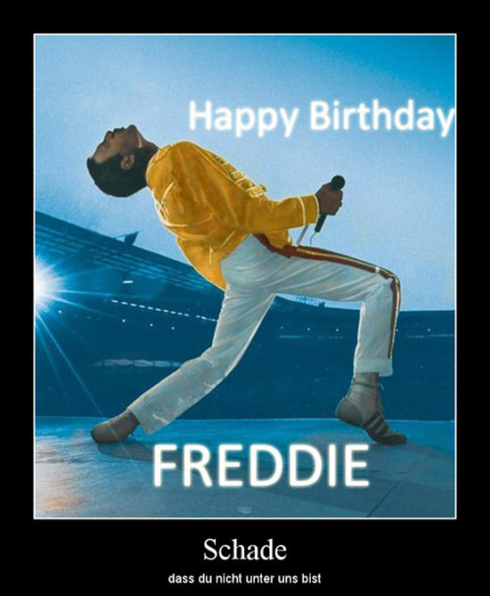 best of demotivators