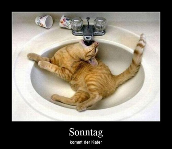 best of demotivators