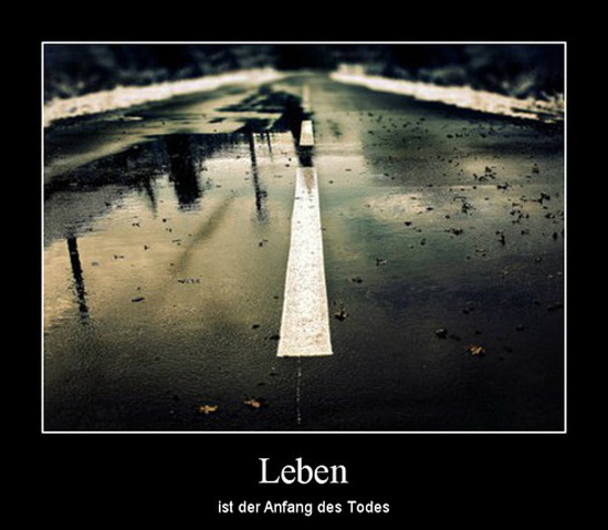 best of demotivators