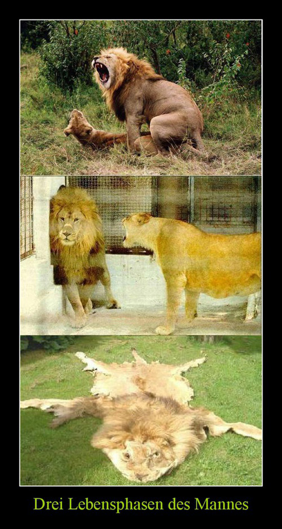 best of demotivators