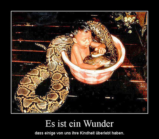 best of demotivators