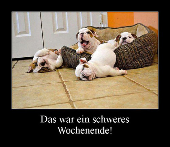 best of demotivators