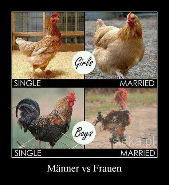best of demotivators