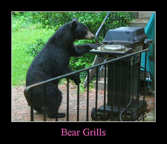 best of demotivators