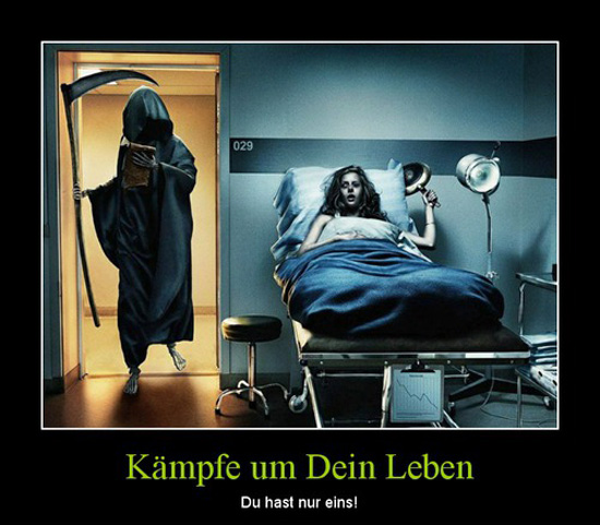 best of demotivators