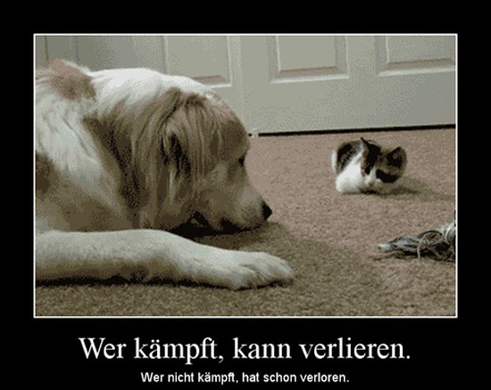 best of demotivators