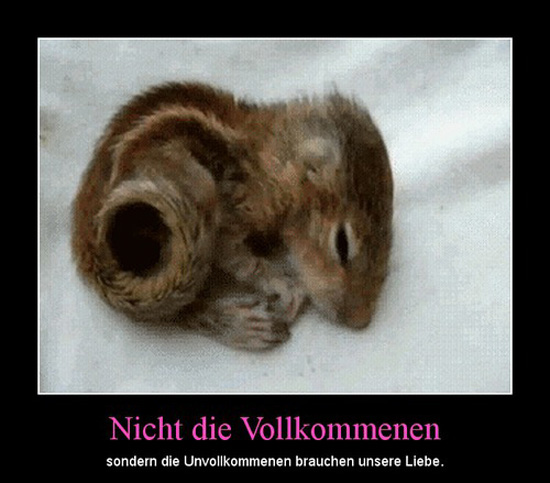 best of demotivators