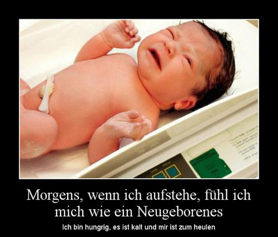 best of demotivators