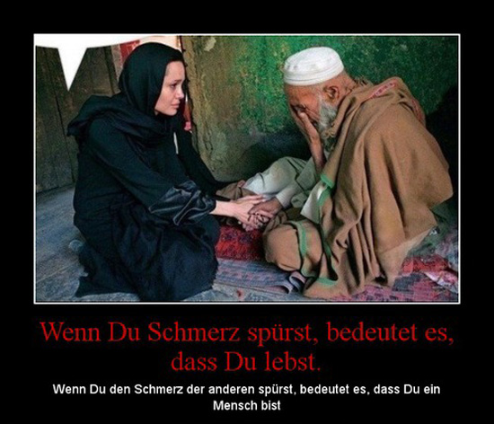 best of demotivators