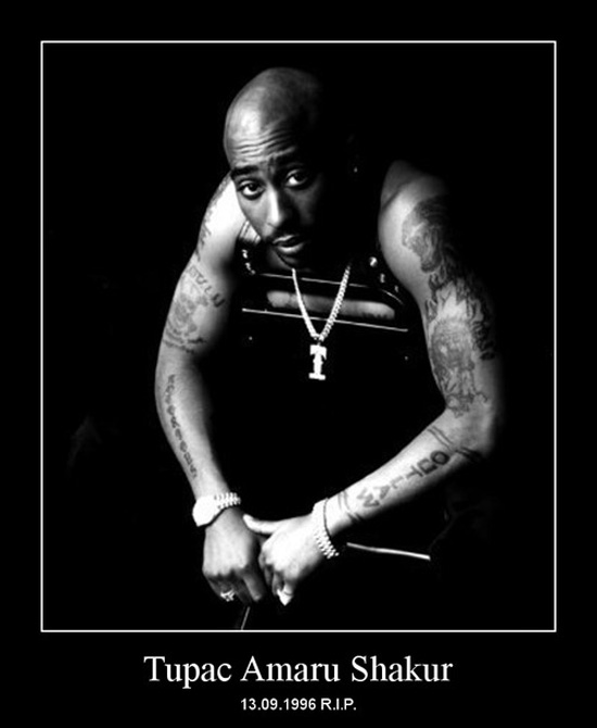 best of demotivators