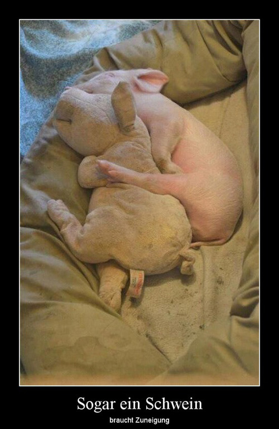 best of demotivators