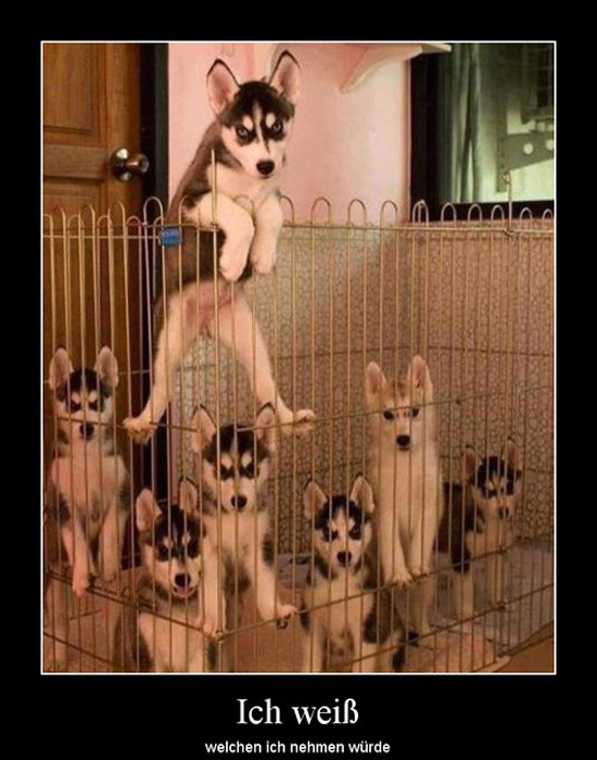 best of demotivators