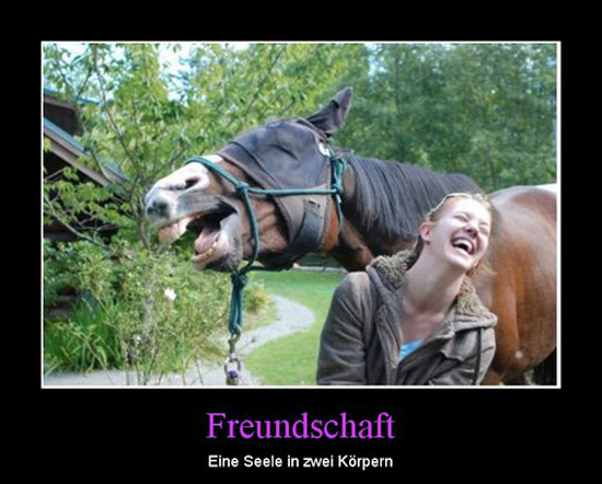 best of demotivators