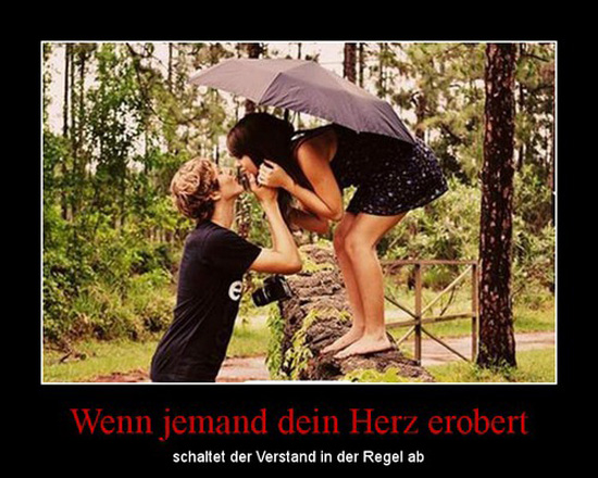 best of demotivators