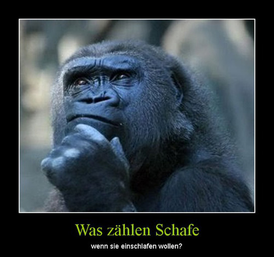 best of demotivators