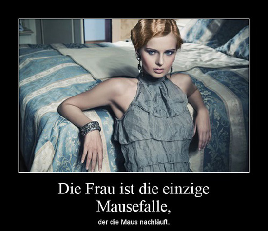 best of demotivators
