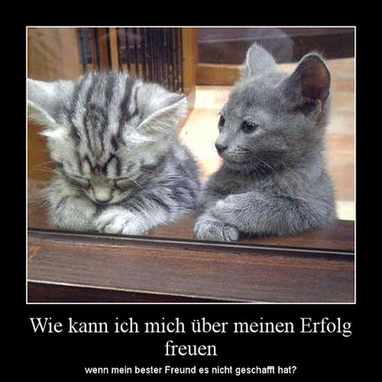 best of demotivators