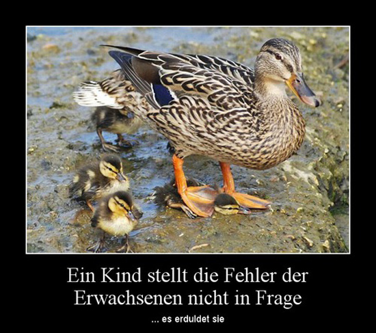 best of demotivators