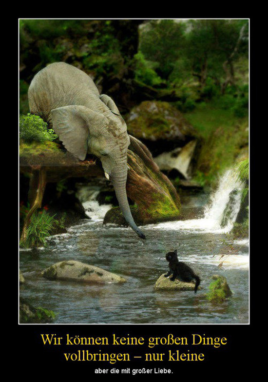 best of demotivators