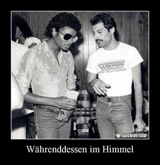 best of demotivators