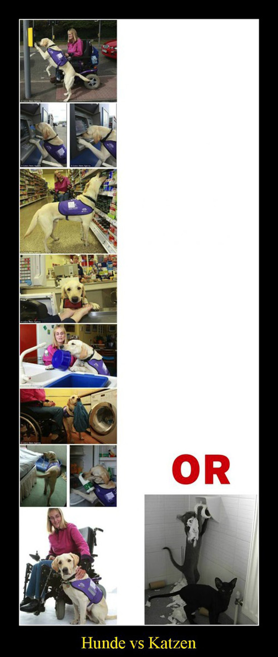 best of demotivators