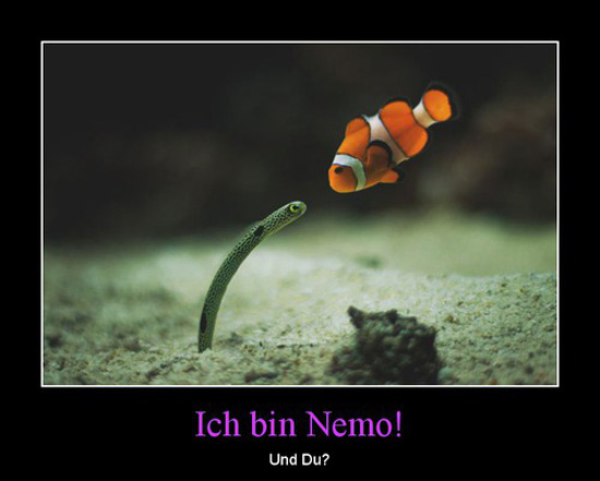 best of demotivators