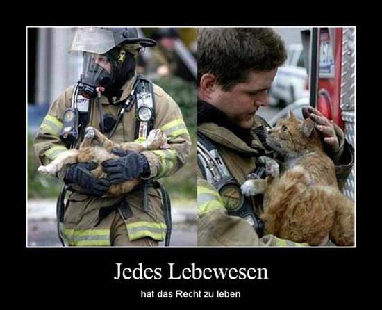 best of demotivators