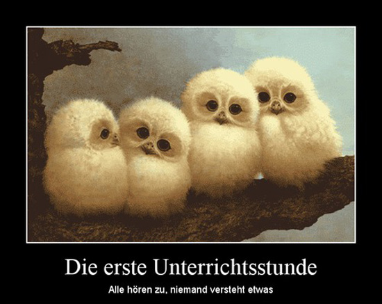 best of demotivators