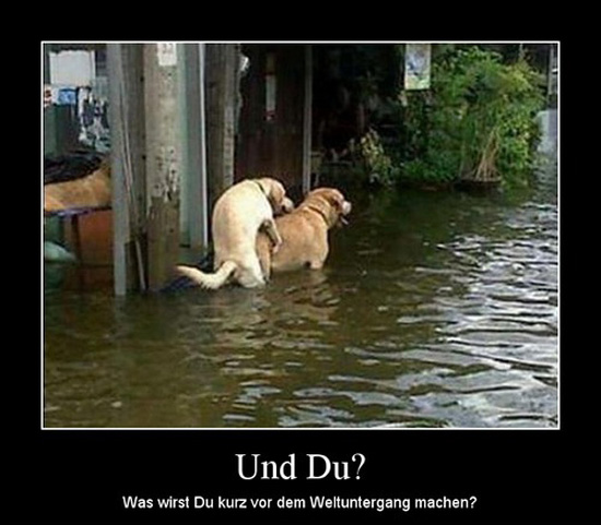 best of demotivators