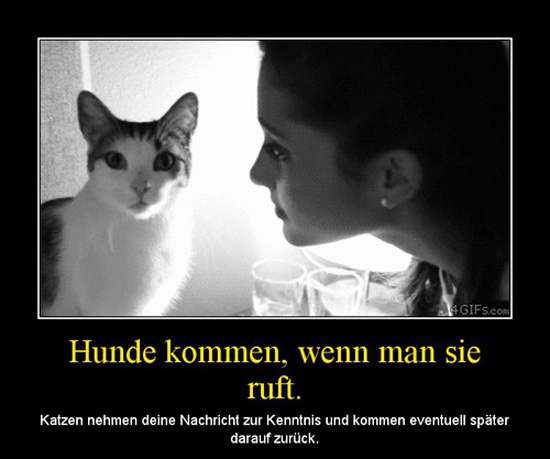 best of demotivators