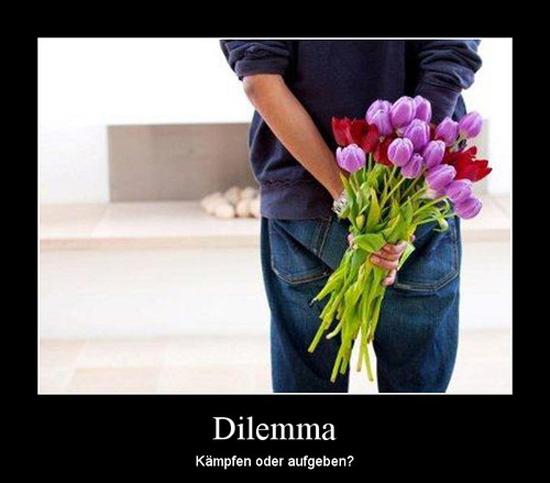 best of demotivators