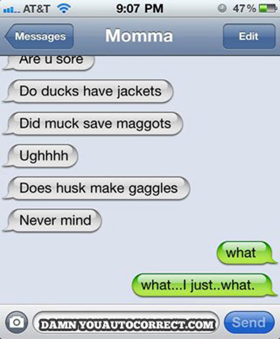 ducks have jackets