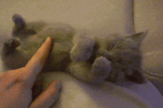 Kille Kille - GIF