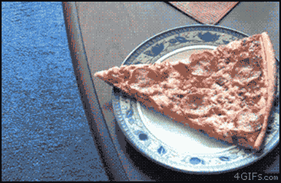 hund schnappt sich pizza