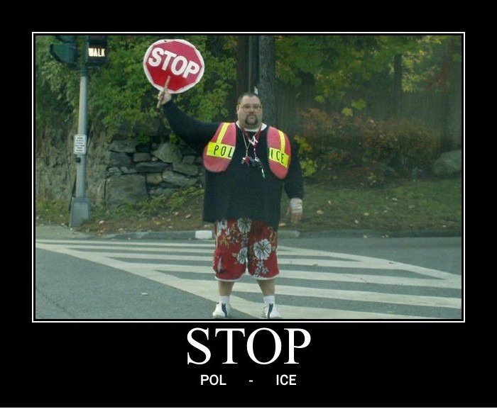POL - ICE