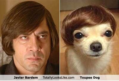 Toupet Much?