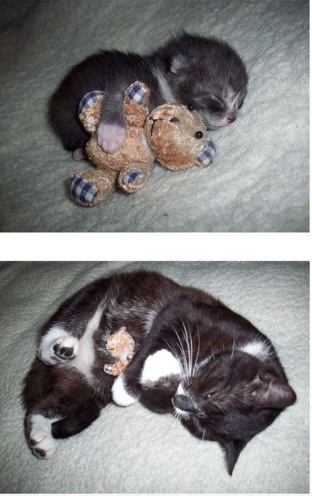 Before and After