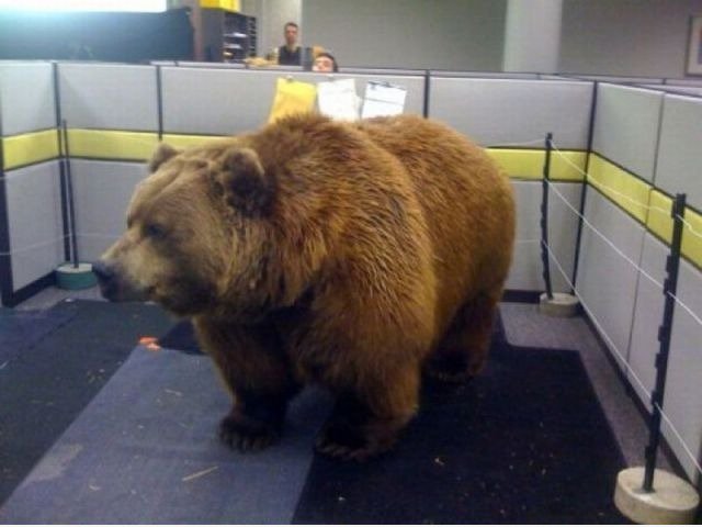 Best. Office. Prank. EVER.