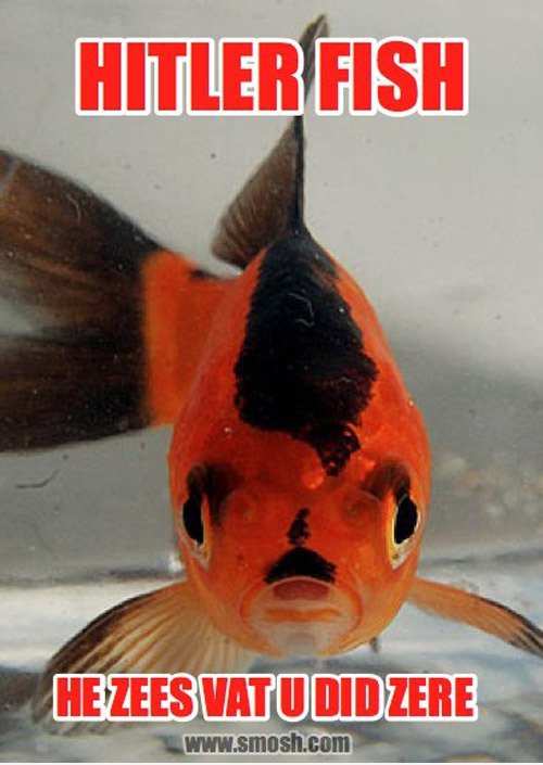 Hitler Fische