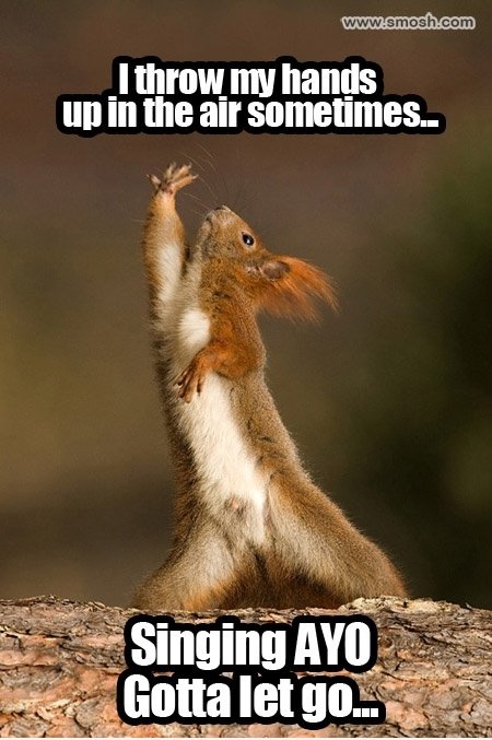 Singen AYO