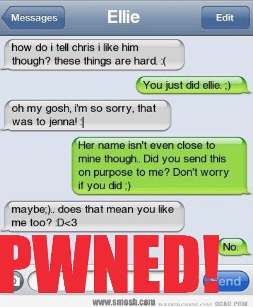 Ellie wird PWNED